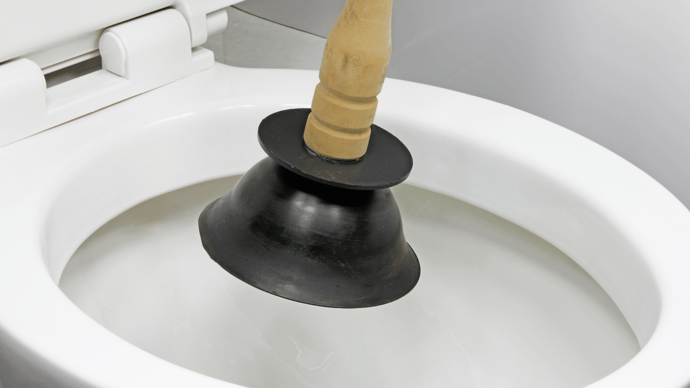 Toilet Services - What Causes Toilet Clogs?